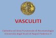 VASCULITI€¦ · sindrome di churg – strauss poliangioite microscopica vasi di piccolo calibro porpora di shonlein – henoch vasculite crioglobulinemica altre vasculiti leucocitoclastiche