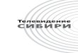 Телевидение - tsu.runewsman.tsu.ru/wp-content/uploads/2014/02/monography... · 2019-11-05 · Крупнейшие медиа-холдинги СфО ... или Казахстана