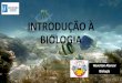 INTRODUÇÃO À BIOLOGIA...Como se estuda Biologia? •Metodologia científica -> Pergunta Especulações, previsões sobre determinado fenômeno da natureza e como ele se comporta
