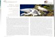 IMEDEA Divulga CSIC-UIB · 2010-03-25 · pensar que todos los casos que conocía de garzas criando en islas tienen en común —oh casualidad!— que se instalan en islotes con gaviotas