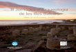 III Jornades d’Arqueologia de les Illes Balearsseccioarqueologia.cdlbalears.es/wp-content/uploads/2012/... · 2017-03-16 · Coccions de ceràmica obertes en superfície a la prehistòria
