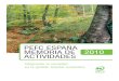PEFC ESPAÑA MEMORIA DE 2010 ACTIVIDADES · seminarios, jornadas y ferias con el objetivo de promover la certificación forestal. A través del Plan de Comu-nicación, durante 2010