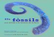 Els fòssils - Diputación de Alicantecocentaina.diputacionalicante.es/impresos/... · Els famosos dinosaures, espècies evolucionades de formes de rèptils, regnaren per tota la