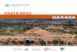 ProTierras · 2019-03-26 · Microrregión Mixteca, Oaxaca Componentes de ProTierras 1. Gobernanza para el fortalecimiento institucional y gestión territorial enfocado al MST. 2