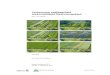 Verkenning haalbaarheid toekomstbeeld Restveengebied · 2017-09-25 · SWNL0212259 Pagina 2 van 24 VERANTWOORDING TITEL: Verkenning haalbaarheid toekomstbeeld Restveengebied SUBTITEL: