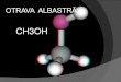 CH3OH - Colegiul Tehnic "Miron Costin"ctmcroman.ro/wp-content/uploads/2020/03/METANOLUL... · ar fi acetonitril , benzen, cloroform, ciclopentan, metacrilat de metil și tetrahidrofuran