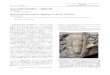 太古の生物の生体復元：三葉虫の例 Reconstructing … Suzuki FP.pdfReconstructing ancient organism: a case of trilobites Yutaro Suzuki Department of Geosciences, Shizuoka