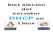 Instalación del servidor - WordPress.com...En este manual realizaremos la instalación del servidor DHCP en Linux, en este caso se trata de la distribución CentOS en su versión