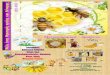 Μέλι, ένας θησαυρός υγείας και δύναμης1lyk-patras.ach.sch.gr/autosch/joomla15/images/EREYNH... · 2013-07-04 · Τα μελισσοκομικά προϊόντα