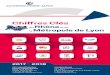 Chiffres Clés · 2018-02-19 · La desserte des lignes TGV actuelles font de Lyon un hub grande vitesse sud-européen. Source : Aéroports de Lyon édiaires Ouvriers Eployés Source