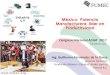 México- Potencia Manufacturera, líder en Productividadadiat.org/wp-content/uploads/2019/04/Guillermo_Fernandez.pdf · Mexico - potencia manufacturera basada en productividad Ejemplo,