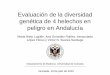 Evaluación de la diversidad genética de 4 helechos en ... · Evaluación de la diversidad genética de 4 helechos en peligro en Andalucía Marta Nieto Lugilde, Ana González Robles,