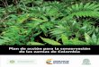 Plan de acción para la conservación de las zamias de Colombia · de especies de Cycadales están en riesgo de extinción por destrucción y degradación de su hábitat y en algunos