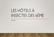 Les hôtels à insectes des 6ème - ecotechno.fr · Title: Les hôtels à insectes des 6ème Author: Pierre Schwindenhammer Created Date: 5/18/2020 8:18:52 AM