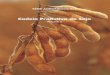 Cadeia Produtiva da Soja PRINT - AGROLINK produtiva da soja.pdf · Agronegócio - Brasil. 2. Política Agrícola - Brasil. 3. Soja. I. Secretaria de Política Agrícola. II. Instituto