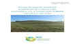 Estudio de Impacto Ambiental Simplificado de la Planta ... · Emplazamiento: Zafra. (Badajoz) Polígono 10, parcelas 32, 45, 35, 36 y 37 Polígono 10, parcela 48. Paraje: Bajohondo