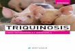 TRIQUINOSIS - argentina.gob.arprovoca la triquinosis. •No consuma carne porcina o silvestre ni productos derivados de la misma, antes de saber que el análisis de laboratorio resultó