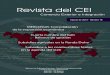 MERCOSUR. Consolidación de la expansión económica Cuarta … · 2013-05-21 · 8 Revista del CEI Número 18 - Agosto de 2010 En el marco descripto, las exportaciones argentinas