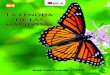 La lengua de las mariposas - learningspanish-spain.com · mariposas. INFORMACIÓN Argumento La Lengua de la Mariposa es una película española de 1999 dirigida por José Luis Cuerda