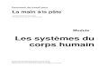 Les systèmes du corps humain - Bibliotheca Alexandrinalamap.bibalex.org/bdd_image/299_953_corps_humain_intro.pdf · Le livre « Les systèmes du corps humain » fait partie du programme