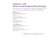 Atlas of Dermatopathology€¦ · дермы, подкожной ... или паттерн, патологиче-ских элементов при большем увеличении