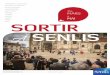 ARTS SORTIR À SENLIS - Ville de Senlis · apportées à ces questions et abordera les problématiques de la nature de la démocratie contemporaine et des dilemmes qui la traversent