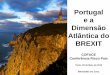 Portugal e a Dimensão Atlântica do BREXIT...Jun 06, 2019  · Portugal - com uma dimensão geográfica limitada, uma população diminuta e sem grandes recursos naturais de acesso