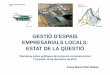 GESTIÓ D’ESPAIS EMPRESARIALS LOCALS: ESTAT DE LA QÜESTIÓ · -Límits a la liberalització pel risc de pèrdua de caràcter productiu Manteniment i recuperació d’espais industrials