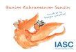 Benim Kahramanım Sensin...The Reference Group itself will coordinate translation into Arabic, Chinese French, Russian, and Spanish. Contact the IASC Reference Group for Mental Health