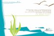 Cahier technique N°1 - La communauté des acteurs de ...14]CT_Stuctures_petit1.pdf · les politiques de gestion des cours d’eau en France. En France, les politiques de l’eau