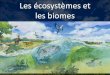 Les écosystèmes et les biomes - chezlogan.weebly.comchezlogan.weebly.com/.../ecosystems_and_biomes.pdf · Les biomes •Les écologistes ont un nom pour les grandes régions où
