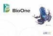 O BioOne - Uniwersytet Warszawski BioONE.pdfBioOne w skrócie Ponad 80% tytułów jest klasyfikowanych przez ISI Clarivate Analytics: Ekologia– 21 tytułów BioOne ze 131 rankingowanych