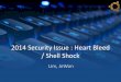 2014 Security Issue : Heart Bleed / Shell Shock · Shell Shock 취약점 번호 취약점 CVE –2014 –6271 원격명령실행 CVE –2014 –7169 함수선언문파싱에러 CVE