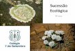 Sucessão Ecológica - Colégio 7 de Setembro€¦ · Sucessão ecológica secundária. b) Por que, no processo de reorganização das comunidades na ilha, os organismos heterótrofos
