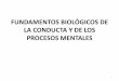 FUNDAMENTOS BIOLÓGICOS DE LA CONDUCTA Y DE LOS PROCESOS ...encina.pntic.mec.es/plop0023/documentos_programaci... · En la actualidadaún no se conoce con exactitud los procesos de