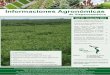Informaciones Agronómicas€¦ · Cuando las condiciones son restrictivas para la oxidación Las mejores prácticas de manejo de la fertilización azufrada en cultivos extensivos