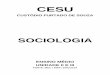 CESUcesu.org.br/wp-content/uploads/2017/04/Sociologia.pdf · cesu custÓdio furtado de souza sociologia unidade ii cultura, memÓria e identidade ensino mÉdio
