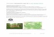 DOCUMENT PERMANENTE LAND ART IN HET GROENE WOUD Actuele informatie over de plek op 1 versie 2014 DOCUMENT