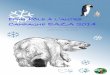 D’un Pôle à l CamPagne eaZa 2014 - Zoo de la Palmyre · Penguin (anglais) = manchot Pinguin (allemand) = manchot Pingüino (espagnol) = manchot Pinguino (italien) = manchot Pingouin