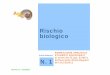 Rischio biologico...Rischio biologico N. 1 Unità didattica Versione 1.0 – 27/10/2016 MODALITÀ DI TRASMISSIONE I. Contatto • diretto (con persona malata) • indiretto (con oggetti