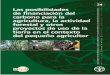 Las posibilidades de financiación del carbono para la agricultura, … · 2010-06-29 · Las posibilidades de financiación del carbono para la agricultura, la actividad forestal