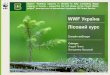 WWF Україна Лісовий курс · 2020-06-17 · грибів і тварин. Червона книга України • Міжнародні охоронні списки: