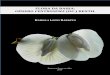 FLORA DA BAHIA - UEFS€¦ · espécies, contribuindo assim, para a Flora da Bahia como um todo. A dissertação está dividida em dois capítulos: no Capítulo I, é descrita e ilustrada