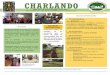 CHARLANDO - Cloud Forest Schoolcloudforestschool.org/wp-content/uploads/2018/10/C... · CHARLANDO Fecha: 23 octubre 2018 27 de Octubre Gran BINGO Creativa Este sábado 27 de octubre