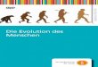 Die Evolution des Menschen - CONATEX3 Zum Inhalt Menü „Die Evolution des Menschen“ Vom Hauptmenü aus kann der Film „Die Evolution des Menschen“ (27 min) gestartet werden