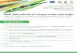 Effetti delle politiche di sviluppo rurale sulla Puglia...12.00 Gli impatti del PSR 2007-2013 sul contesto regionale e la transizione verso il PSR 2014-2020, a cura dell’Autorità