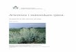 Artemisia i människans tjänst. - Archive · 2013-04-15 · Genom att studera historiska medicinal växter finns det en möjlighet att hitta nya sätt att bota sjukdomar. De växter