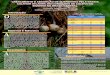 Crescimento e Absorção de Nutrientes Pela Batata Cultivar ...ainfo.cnptia.embrapa.br/digital/bitstream/item/78327/1/p2007-05.pdf · Criação e Arte: Jussara Flores / Setor de Informação