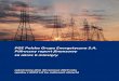 PGE Polska Grupa Energetyczna S.A....PGE Polska Grupa Energetyczna S.A. Półroczny raport finansowy za okres 6 miesięcy zakończony dnia 30 czerwca 2019 roku zgodny z MSSF UE (w