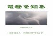 竜巻を知る - bousaihaku.com€¦ · “雲を掴むような話”という表現がありますが、雲科学の 分野では、高分解能の気象レーダーなどさまざまな“目”で